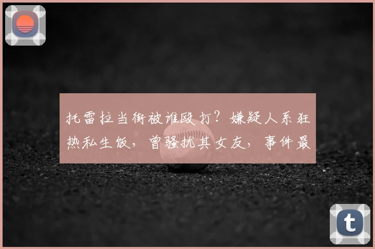 托雷拉当街被谁殴打？嫌疑人系狂热私生饭，曾骚扰其女友，事件最新进展与防范措施解读